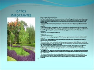 DATOS IMPORTANTES Plaza Rodolfo Baquerizo Moreno  La Plaza Rodolfo Baquerizo Moreno conocida como Parque Guayaquil, ha sido renovada, para que su parte central sea núcleo para exposiciones, dándole más versatilidad a la zona. Además en esta zona se ha creado un centro de acopio en el que se reciclan los desperdicios que se generen en el lugar y desde  el que se puede apreciar dicho proceso para enseñanza a escuelas y colegios que deseen conocer el reciclaje.  Dirección La Plaza Rodolfo Baquerizo Moreno, ubicado en el Malecón de Estero Salado. Se encuentra en el área que ocupaba el antiguo Parque Guayaquil, limitando por el oeste con el sector 1, por el este con la calle Tungurahua, por el norte con la calle Quisquis y por el sur con la Av. 9 de Octubre.  Extensión Cuenta con una área total de 19.360 m2. Atractivos Comprende tres niveles:   •  Un sótano  con área de parqueo para 112 vehículos y espacios para las instalaciones técnicas del conjunto •  Planta baja:  Se encuentra un ágora para presentaciones musicales y teatrales en vivo, área de exposiciones y comercios varios. •  Planta alta:  Cuenta con una sala de reuniones y exposiciones para más de 600 personas, a la cual se accede a través de un volumen de hormigón armado de expresión sólida y cerrada donde se ubican además de las escaleras y ascensor de acceso. •  El subsuelo edificado en hormigón armado soporta la superestructura metálica que confiere la imagen de ligereza y esbeltez buscadas para expresar su carácter de gran ágora pública; el recubrimiento de policarbonato de la gran sala de reuniones permite filtrar la luz en su interior propiciando la  concentración del usuario en las actividades que se desarrollan en él; las instalaciones vistas de aire acondicionado, y bajantes de aguas lluvias generan un contrapunto con la serenidad que produce la piel que lo cubre. •  En la parte central del parque que estaba desprovista de árboles, se desarrolla un edificio de servicios que intercepta con el eje de entrada de la Universidad Estatal, el mismo que esta rodeado por una circulación elíptica que permite un paseo paisajístico por los sectores de áreas verde y poniendo   