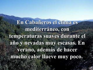 En Cabañeros el clima es mediterráneo, con temperaturas suaves durante el año y nevadas muy escasas. En verano, además de hacer mucho calor llueve muy poco.  