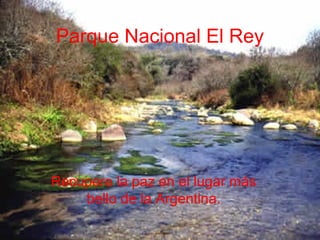 Parque Nacional El Rey Recupere la paz en el lugar más bello de la Argentina. 