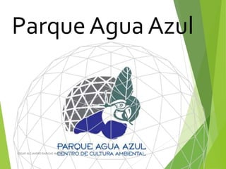 Parque Agua Azul
EDGAR ALEJANDRO BARAJAS MURILLO
 