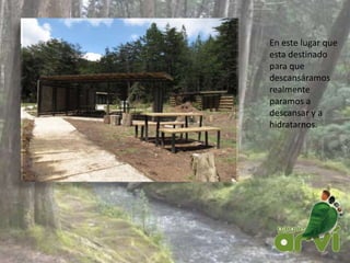 En este lugar que
esta destinado
para que
descansáramos
realmente
paramos a
descansar y a
hidratarnos.
 