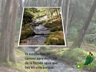 Ya estábamos en
camino para disfrutar
de la helada agua que
hay en este parque.
 