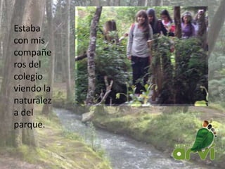 Estaba
con mis
compañe
ros del
colegio
viendo la
naturalez
a del
parque.
 