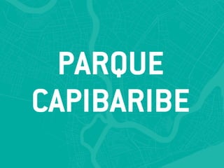 PARQUE
CAPIBARIBE
 