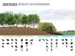 DIRETRIZES: RESGATE DA DIVERSIDADE
 