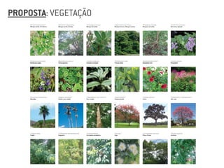 PROPOSTA: VEGETAÇÃO
 
