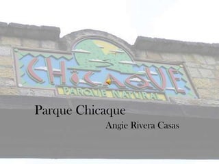 Parque Chicaque  Angie Rivera Casas  