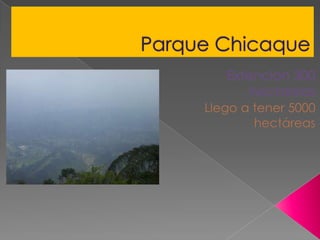 Parque Chicaque Extencion 300 hectareas Llego a tener 5000 hectáreas 