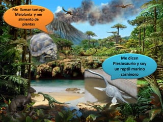Me dicen
Plesiosaurio y soy
un reptil marino
carnívoro
Me llaman tortuga
Meiolania y me
alimento de
plantas
 