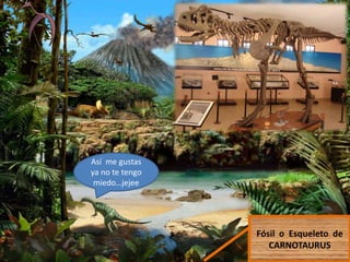 Fósil o Esqueleto de
CARNOTAURUS
Así me gustas
ya no te tengo
miedo…jejee
 