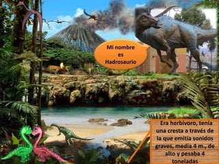Mi nombre
es
Hadrosaurio
Era herbívoro, tenía
una cresta a través de
la que emitía sonidos
graves, medía 4 m., de
alto y pesaba 4
toneladas