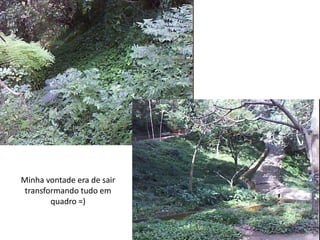 Minha vontade era de sair transformando tudo em quadro =)
