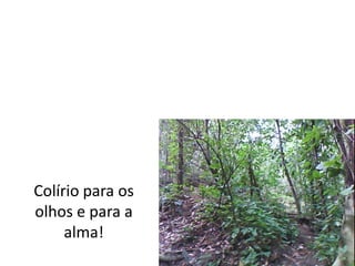 Colírio para os olhos e para a alma!