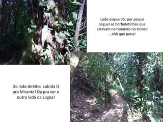 Lado esquerdo: por pouco peguei as borboletinhas que estavam namorando no tronco ...ahh que pena!Do lado direito:  subida lá pro Mirante! Dá pra ver o outro lado da Lagoa!