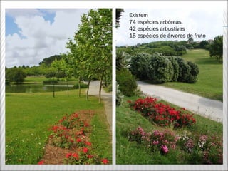 Existem
74 espécies arbóreas,
42 espécies arbustivas
15 espécies de árvores de fruto
 