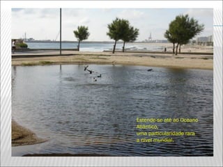 Estende-se até ao Oceano
Atlântico,
uma particularidade rara
a nível mundial.
 
