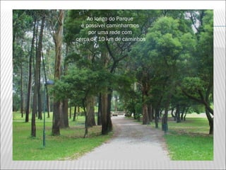 Ao longo do Parque
  é possível caminharmos
     por uma rede com
cerca de 10 km de caminhos
 