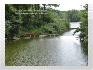 Vários percursos fluviais e lagos
encontram-se ao longo do Parque
 