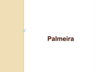 Palmeira