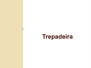 Trepadeira