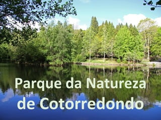 Parque da Natureza
de Cotorredondo
 