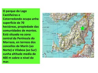 O parque do Lago
Castiñeiras e
Cotorredondo ocupa unha
superficie de 70
hectáreas, propiedade das
comunidades de montes.
Está situado na zona
central da Península do
Morrazo, en terreos dos
concellos de Marín (ao
Norte) e Vilaboa (ao Sur)
cunha altitude media de
400 m sobre o nivel do
mar.
 