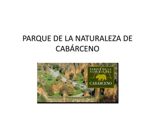 PARQUE DE LA NATURALEZA DE CABÁRCENO 