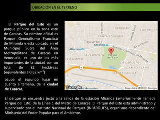 UBICACIÓN EN EL TERRENO
El Parque del Este es un
parque público en la zona este
de Caracas. Su nombre oficial es
Parque Generalísimo Francisco
de Miranda y esta ubicado en el
Municipio Sucre del Área
Metropolitana de Caracas en
Venezuela, es uno de los más
importantes de la ciudad con un
total de 82 hectáreas
(equivalentes a 0,82 km²)
ocupa el segundo lugar en
cuanto a tamaño, de la ciudad
de Caracas,
El parque se encuentra justo a la salida de la estación Miranda (anteriormente llamada
Parque del Este) de la Línea 1 del Metro de Caracas. El Parque del Este está administrado y
supervisado por el Instituto Nacional de Parques (INPARQUES), organismo dependiente del
Ministerio del Poder Popular para el Ambiente.
 