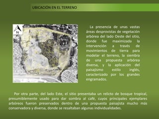 Por otra parte, del lado Este, el sitio presentaba un relicto de bosque tropical,
presumiblemente usado para dar sombra al café, cuyos principales ejemplares
arbóreos fueron preservados dentro de una propuesta paisajista mucho más
conservadora y diversa, donde se resaltaban algunas individualidades.
UBICACIÓN EN EL TERRENO
La presencia de unas vastas
áreas desprovistas de vegetación
arbórea del lado Oeste del sitio,
donde fue maximizada la
intervención a través de
movimientos de tierra para
modelar el terreno, la siembra
de una propuesta arbórea
diversa, y la aplicación del
paisajismo estilo inglés,
caracterizado por los grandes
engramados.
 