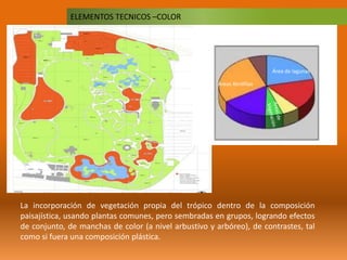 ELEMENTOS TECNICOS –COLOR
La incorporación de vegetación propia del trópico dentro de la composición
paisajística, usando plantas comunes, pero sembradas en grupos, logrando efectos
de conjunto, de manchas de color (a nivel arbustivo y arbóreo), de contrastes, tal
como si fuera una composición plástica.
Área de lagunas
Áreas Xerófilas
 
