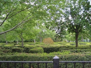 A la derecha del paseo se encuentra  el  laberinto,  concebido para el juego amoroso y los escondites, está hecho con laureles.   