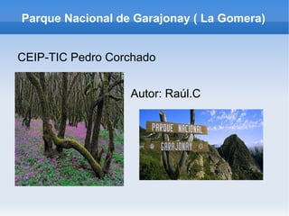 Parque Nacional de Garajonay ( La Gomera) ,[object Object],Autor: Raúl.C 