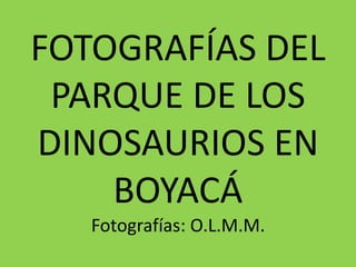 FOTOGRAFÍAS DEL
PARQUE DE LOS
DINOSAURIOS EN
BOYACÁ
Fotografías: O.L.M.M.
 