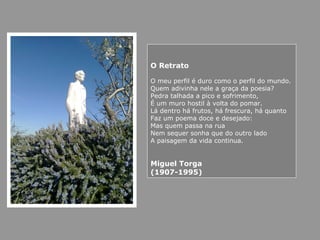 O Retrato
O meu perfil é duro como o perfil do mundo.
Quem adivinha nele a graça da poesia?
Pedra talhada a pico e sofrimento,
É um muro hostil à volta do pomar.
Lá dentro há frutos, há frescura, há quanto
Faz um poema doce e desejado:
Mas quem passa na rua
Nem sequer sonha que do outro lado
A paisagem da vida continua.
Miguel Torga
(1907-1995)
 