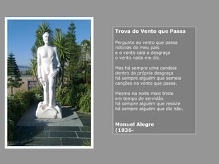 Trova do Vento que Passa
Pergunto ao vento que passa
notícias do meu país
e o vento cala a desgraça
o vento nada me diz.
Mas há sempre uma candeia
dentro da própria desgraça
há sempre alguém que semeia
canções no vento que passa.
Mesmo na noite mais triste
em tempo de servidão
há sempre alguém que resiste
há sempre alguém que diz não.
Manuel Alegre
(1936-
 