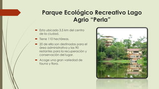 Parque Ecológico Recreativo Lago
Agrio “Perla”
 Esta ubicado 3.5 km del centro
de la ciudad.
 Tiene 110 hectáreas.
 20 de ella son destinadas para el
área administrativa y las 90
restantes para la recuperación y
conservación del lugar.
 Acoge una gran variedad de
fauna y flora.
 