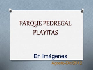 En Imágenes
Agosto-Dic/2012
PARQUE PEDREGAL
PLAYITAS
 