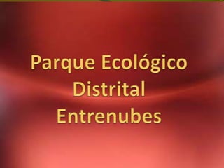 Parque Ecológico Distrital  Entrenubes 
