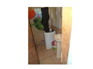 Parque guarani, joinville