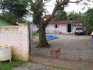 Parque guarani, joinville