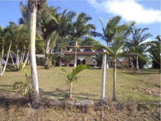 Parque guarani, joinville