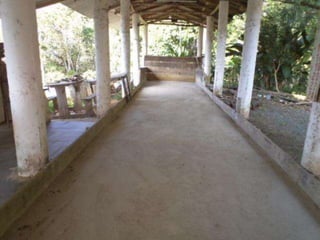 Parque guarani, joinville