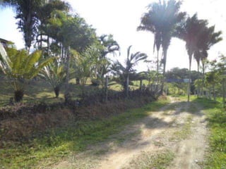 Parque guarani, joinville