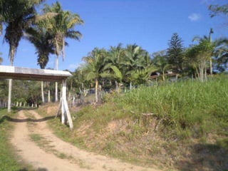 Parque guarani, joinville