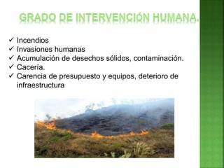  Incendios
 Invasiones humanas
 Acumulación de desechos sólidos, contaminación.
 Cacería.
 Carencia de presupuesto y equipos, deterioro de
infraestructura
 