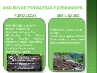 •INPARQUES y el MARN
reciben el apoyo de
funcionarios bomberiles,
•Protección Civil, Fuerza
Aérea, Guardia Nacional,
Policía de Aragua, entre otras.
•Sirve como centro de
investigación para aves,
mamíferos y reptiles.
•Derrumbes a causa de las
Lluvias.
•Posee capa vegetal delgada.
•Carencia de un presupuesto
adecuado para el parque.
 