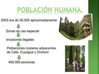 2003 era de 50.000 aproximadamente
Zonas de uso especial
Invasiones ilegales
Poblaciones costeras adyacentes
de Cata, Cuyagua y Choroní
450.000 personas
 