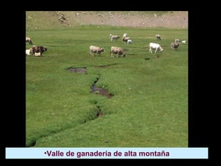 <ul><li>Valle de ganadería de alta montaña </li></ul>