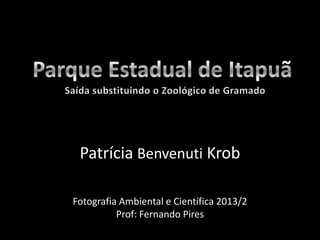 Patrícia Benvenuti Krob
Fotografia Ambiental e Científica 2013/2
Prof: Fernando Pires

 