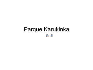 Parque Karukinka 